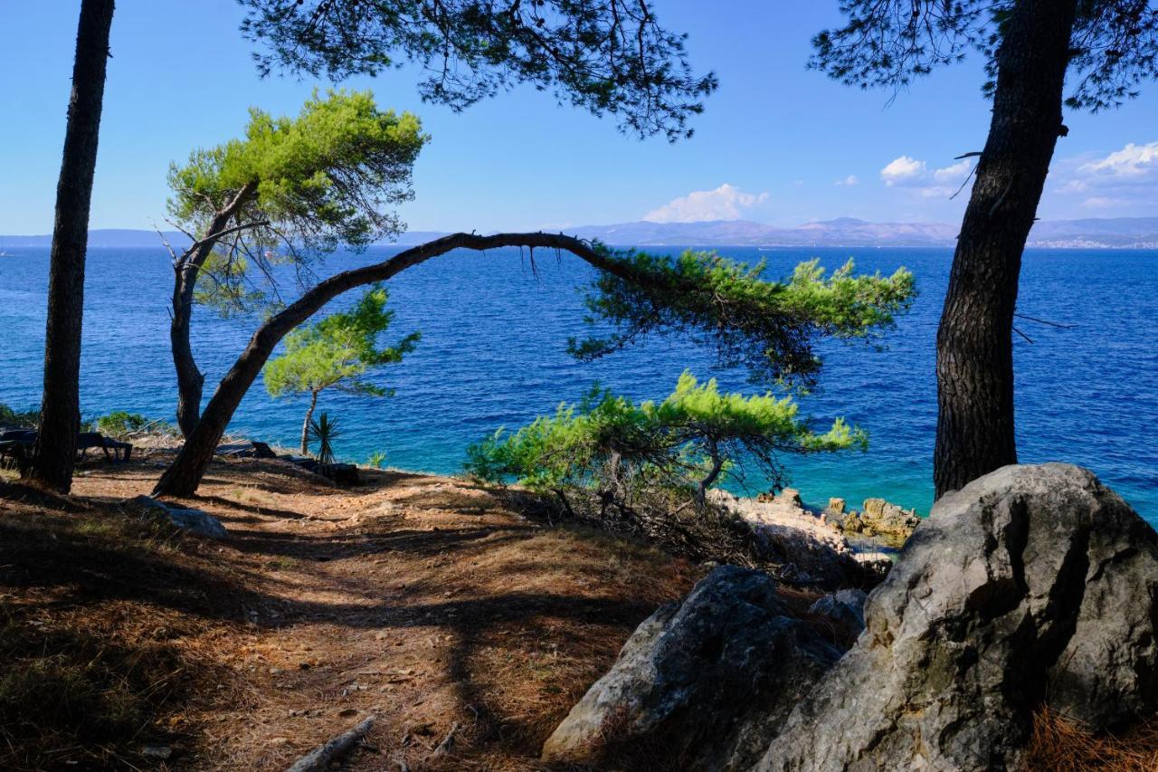 Vila Vita Donje Selo na Šolti Exteriör bild