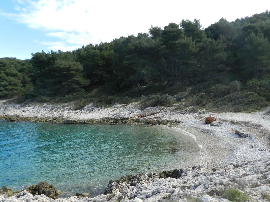 Vila Vita Donje Selo na Šolti Exteriör bild